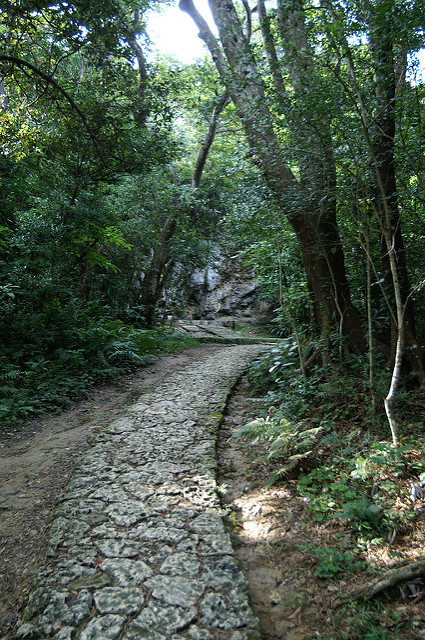 琉球王国のグスク及び関連遺産群の画像19