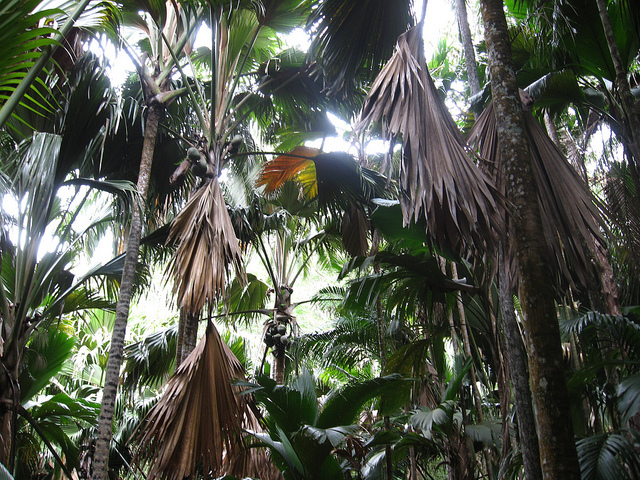 メ渓谷自然保護区の画像1