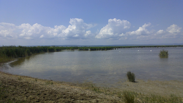 フェルテー湖／ノイジードラー湖の文化的景観の画像1