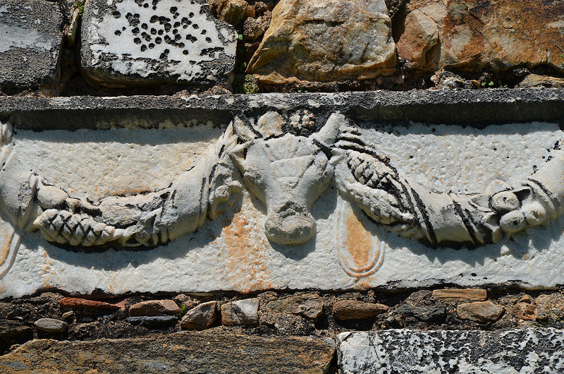 アフロディシアスの画像22