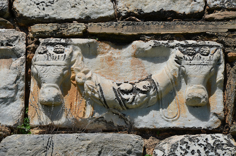 アフロディシアスの画像23