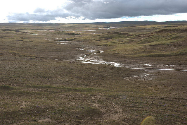 青海可可西里の画像3