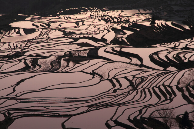 紅河ハニ棚田群の文化的景観の画像1