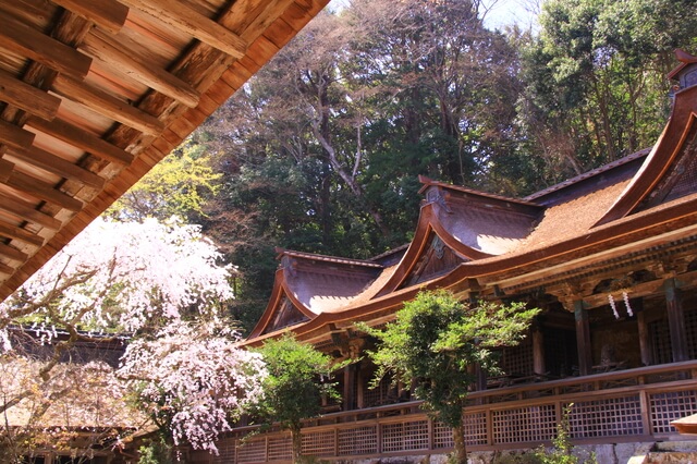 紀伊山地の霊場と参詣道の画像6