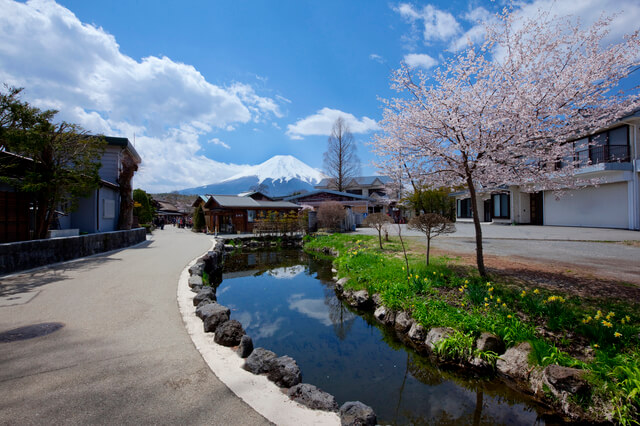 忍野八海：鏡池の画像1