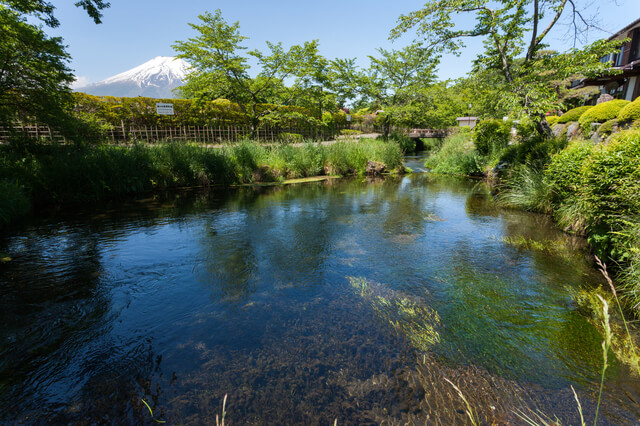 忍野八海：濁池の画像1