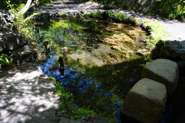 忍野八海：御釜池の画像1