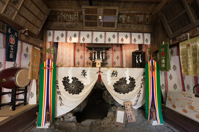 船津胎内樹型の画像1