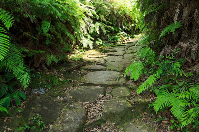 熊野参詣道：伊勢路の画像1