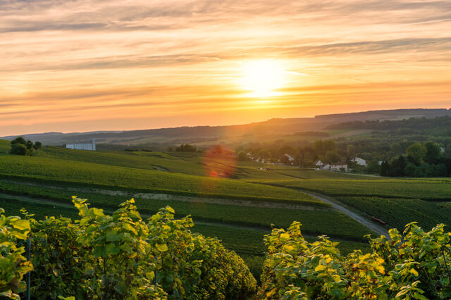 シャンパーニュの丘陵、メゾンとカーヴの画像1
