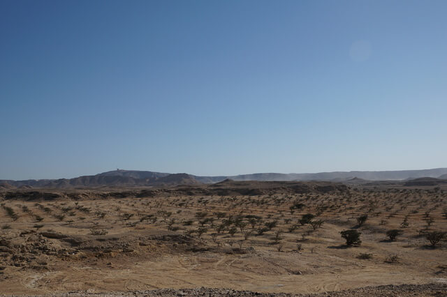 乳香の土地：交易路と遺跡群の画像1
