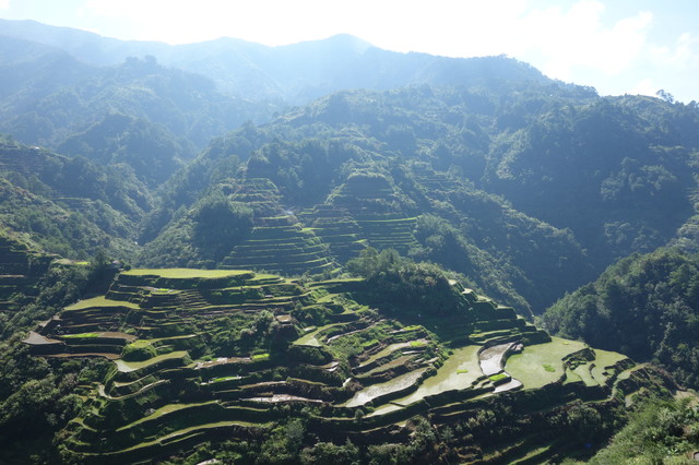 フィリピン・コルディリェーラの棚田群の画像1