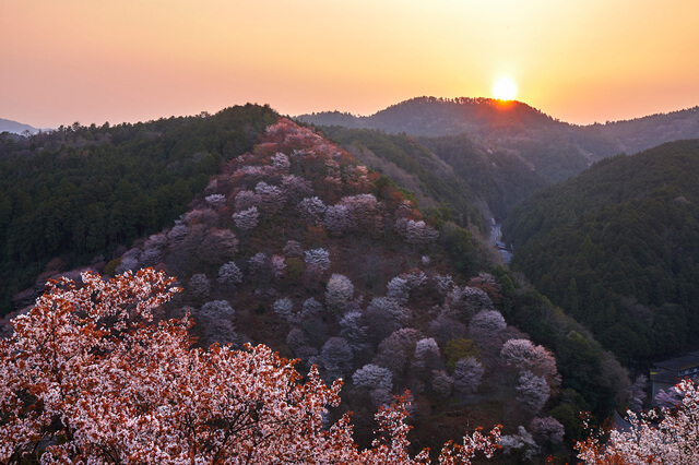紀伊山地の霊場と参詣道の画像5