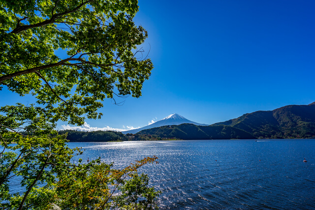 河口湖の画像2