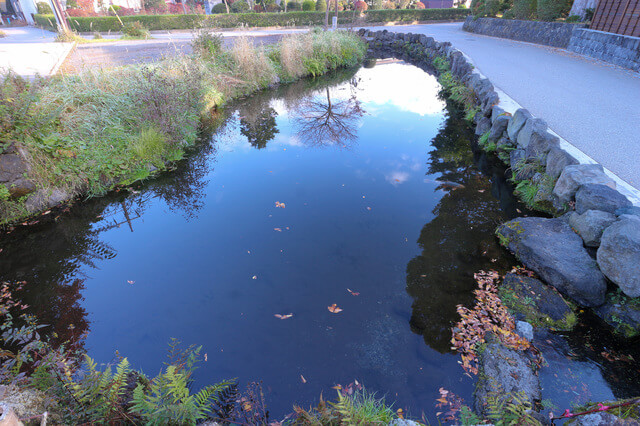忍野八海：鏡池の画像2