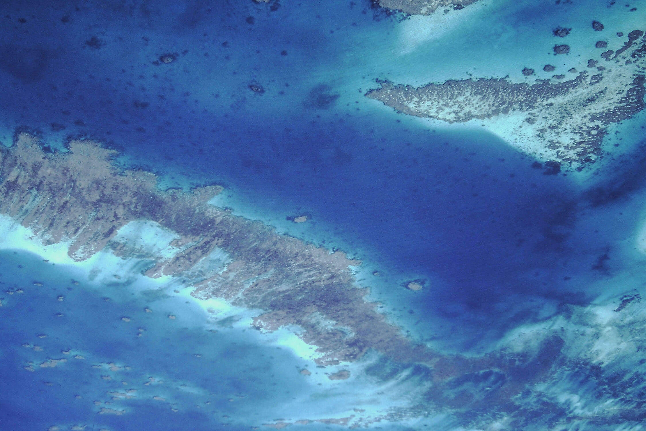 ニューカレドニアの珊瑚礁：環礁の多様性と関連する生態系の画像1