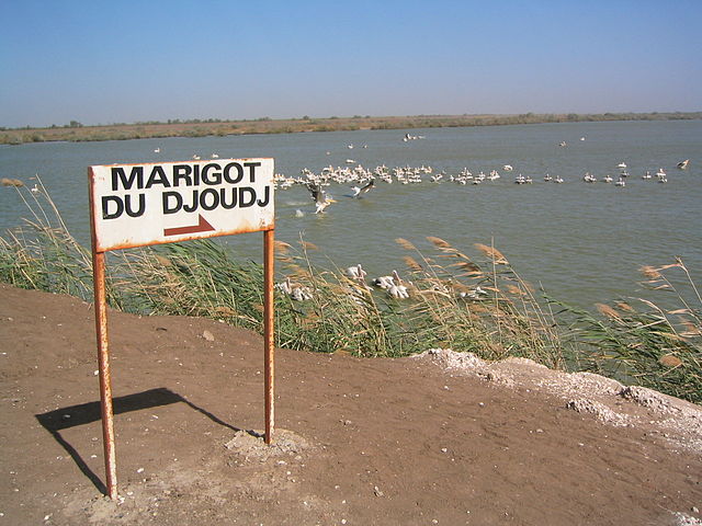 ジュッジ国立鳥類保護区の画像4