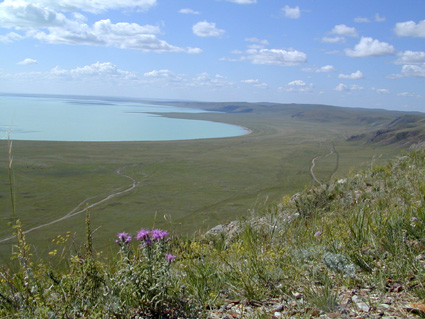 ダウリヤの景観群の画像1