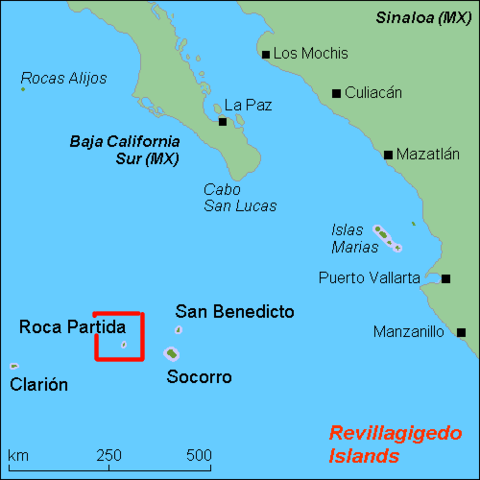 レビジャヒヘド諸島の画像19