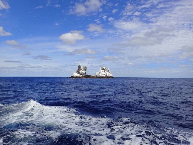 レビジャヒヘド諸島の画像18