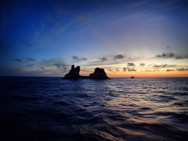 レビジャヒヘド諸島の画像3