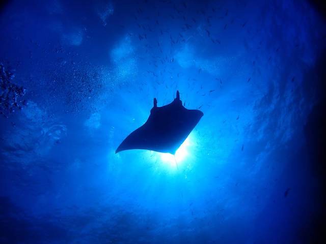 レビジャヒヘド諸島の画像1