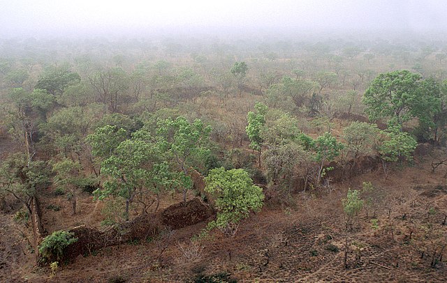 ロロペニの遺跡
