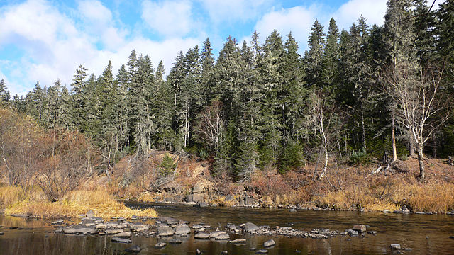 中央シホテ-アリンの画像2