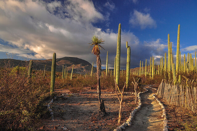 サン ・ファン・ラヤの画像1