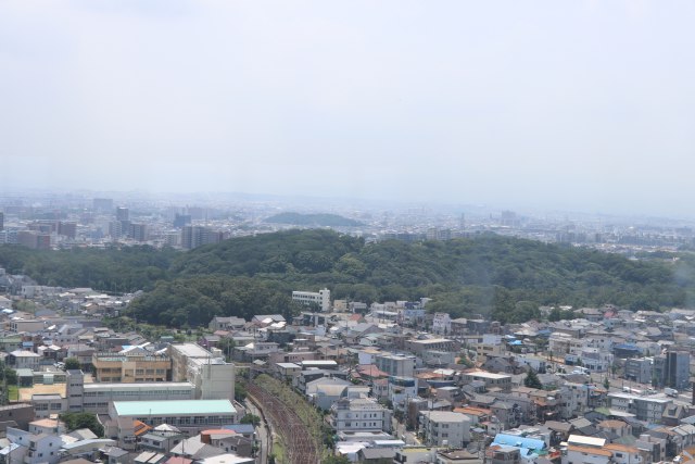 百舌鳥・古市古墳群の画像8