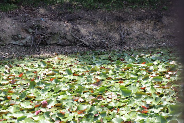 永山古墳の画像2