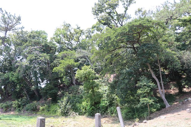 永山古墳の画像3