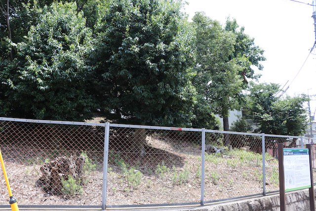 百舌鳥・古市古墳群の画像18