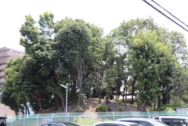 百舌鳥・古市古墳群の画像20