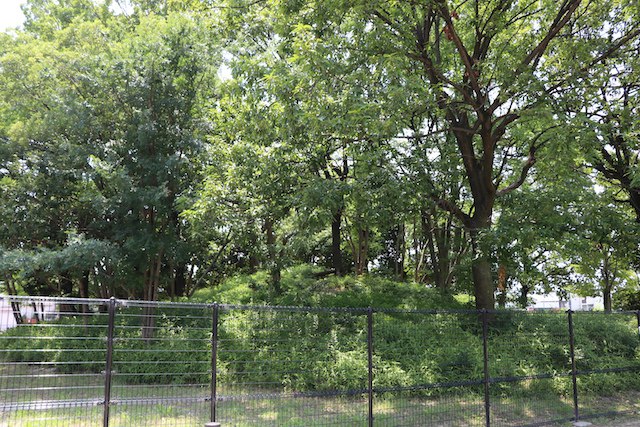 百舌鳥・古市古墳群の画像25