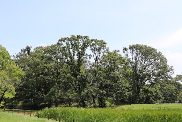 百舌鳥・古市古墳群の画像27