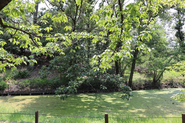 百舌鳥・古市古墳群の画像28