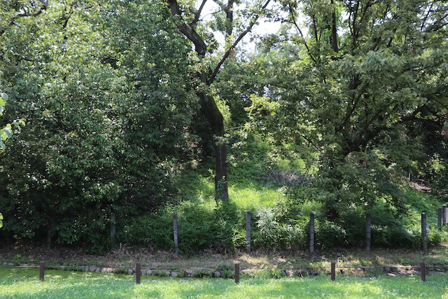 百舌鳥・古市古墳群の画像29