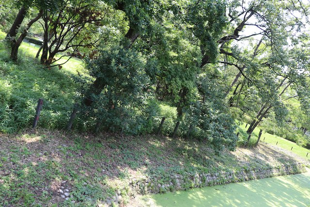 百舌鳥・古市古墳群の画像30