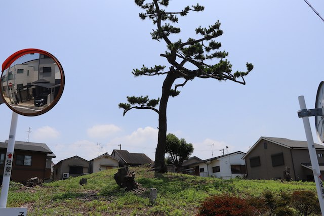 菰山塚古墳の画像2