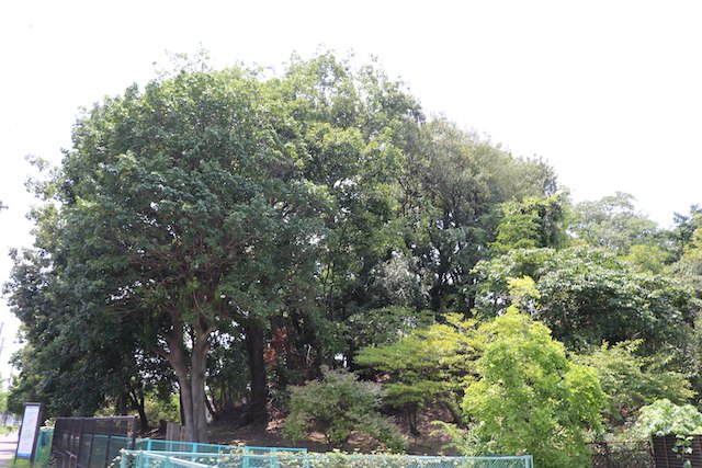 長塚古墳の画像2