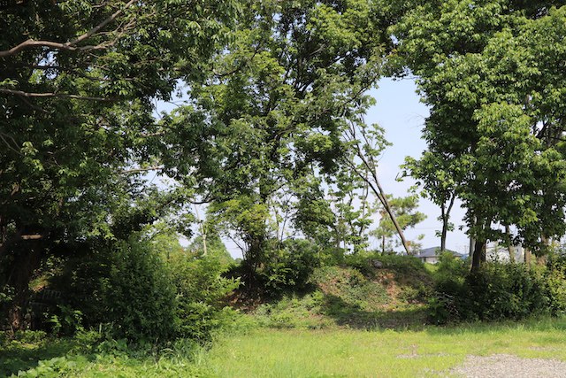 寺山南山古墳の画像2