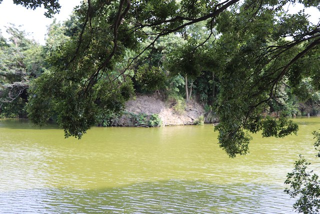 いたすけ古墳の画像2