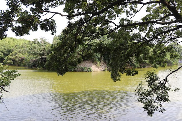 いたすけ古墳の画像3