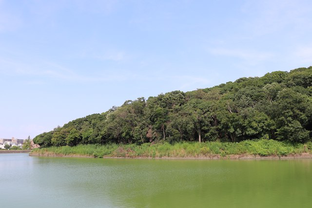 ニサンザイ古墳の画像1