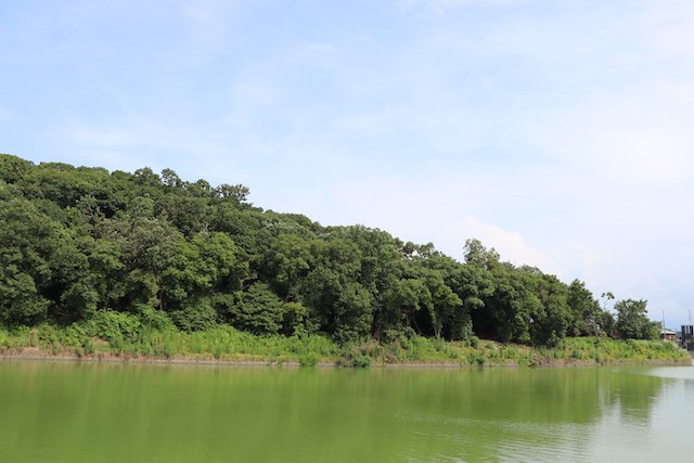 ニサンザイ古墳の画像2