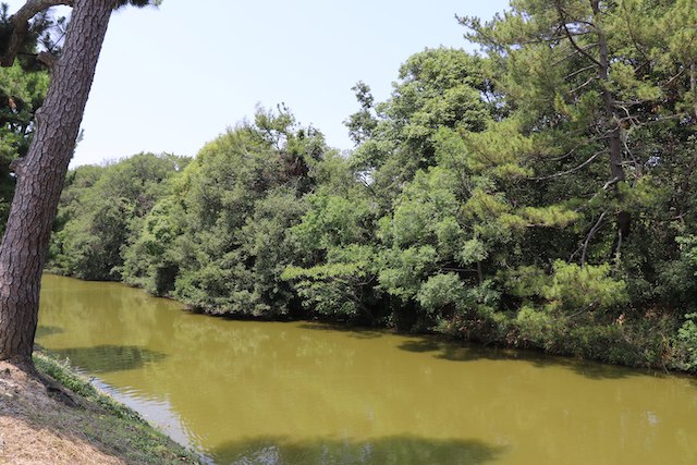 百舌鳥・古市古墳群の画像9