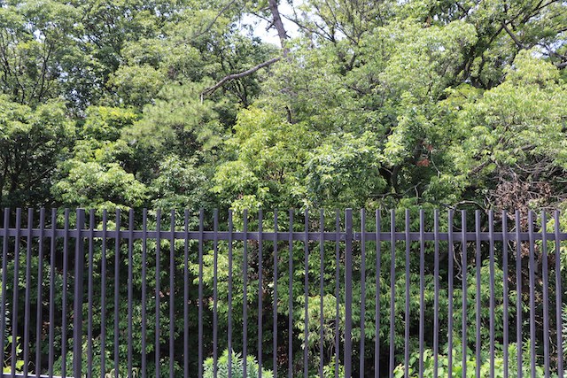 百舌鳥・古市古墳群の画像13