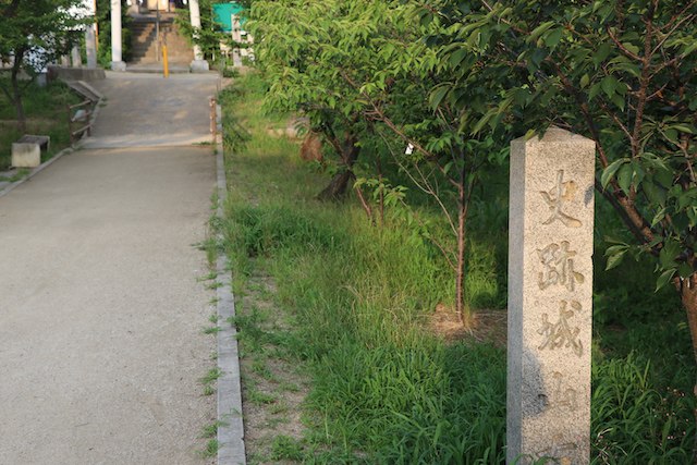 津堂城山古墳の画像2