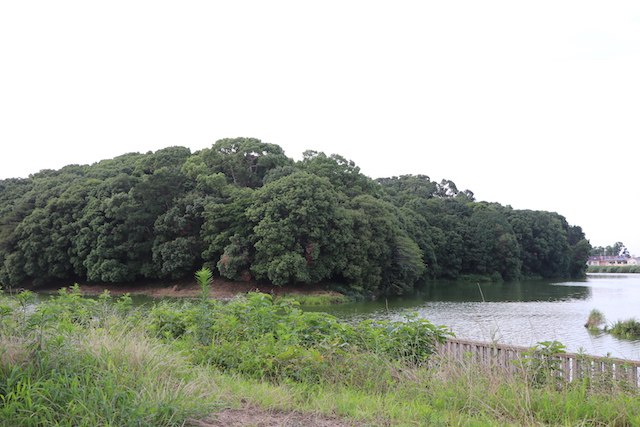 仲哀天皇陵古墳の画像4